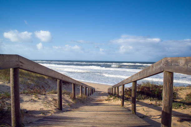 istock Beach wooden boardwalk leading down to the Atlantic Ocean 1290079123
