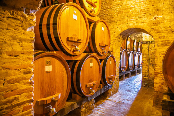 interior of a cellar of the nobile di montepulciano,tuscany,italy - montepulciano imagens e fotografias de stock