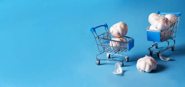 Panorama garlic on shopping trolley on blue background.Copy space for text.