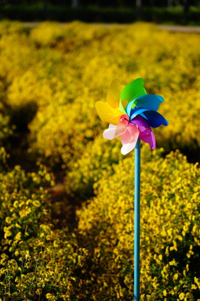 istock Colorful Pinwheel Toy 1290081977