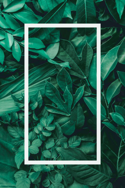 istock tropical leaves, abstract green leaves texture, nature background 1290082181