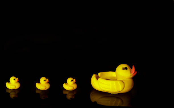 istock Yellow rubber ducks in rows on a black background 1290082332