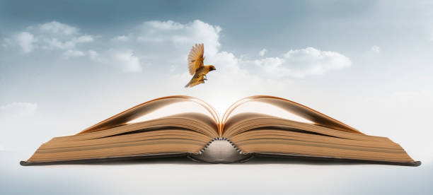 istock Bird flying from Magic books places on the sky 1290083443