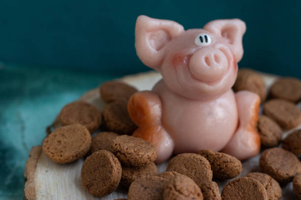 Pink piglet made of marzipan (almonds) with pepernoten cookies, traditional food on Sinterklaas celebration