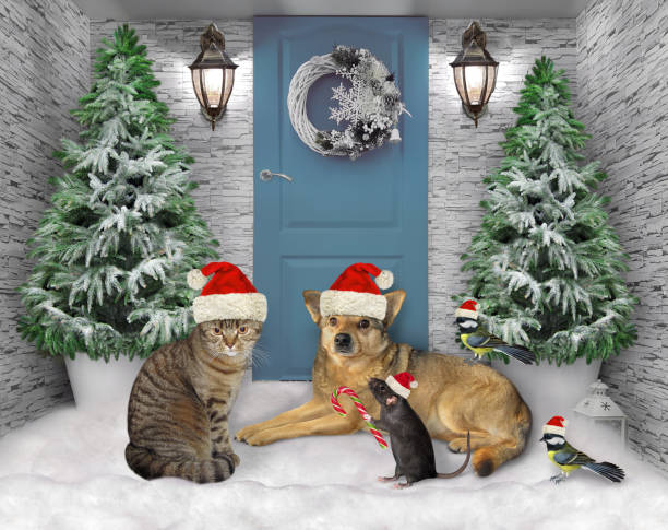 istock Pets in yard for Christmas 2 1290086818