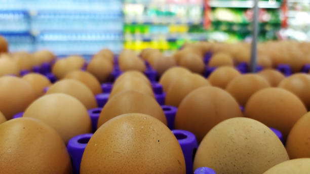 The eggs lines