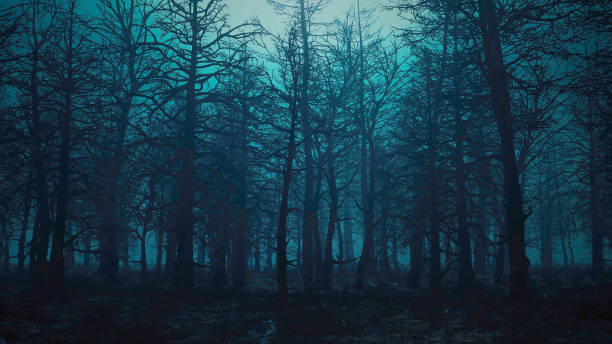 istock 3d render animation of flying through a scary forest 1290092272