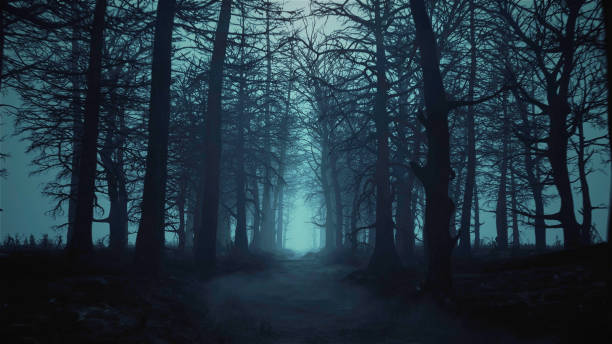 istock 3d render animation of flying through a scary forest 1290092340