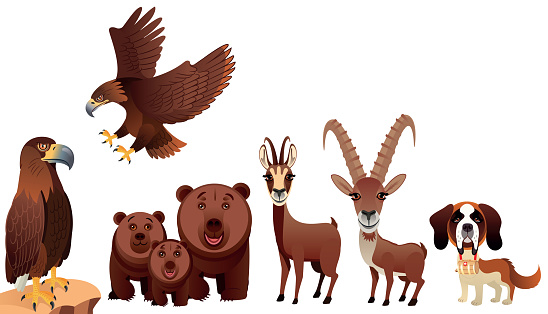 Switzerland Animals Stock Illustration - Download Image Now - Animal,  Golden Eagle, Ibex - iStock