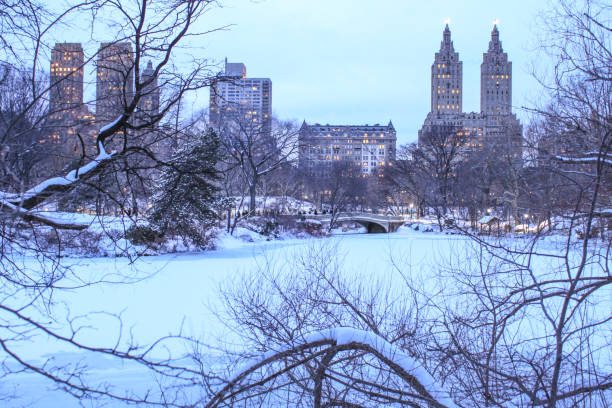istock The White Season in New York's Central Park 1290093363