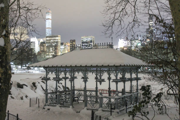 istock The White Season in New York's Central Park 1290093380