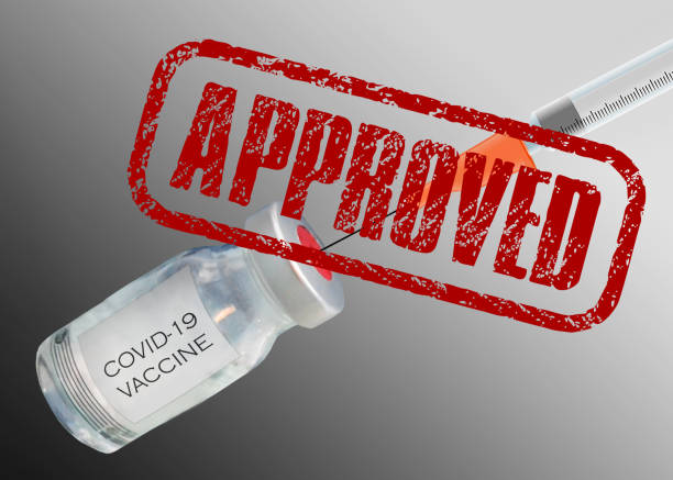 Illustration of the concept of Vaccine Product Approval Process by Food and drug administration (FDA) or center of disease control (CDC) or health authority Illustration of the concept of Vaccine Product Approval Process by Food and drug administration (FDA) or center of disease control (CDC) or health authority food and drug administration photos stock pictures, royalty-free photos & images
