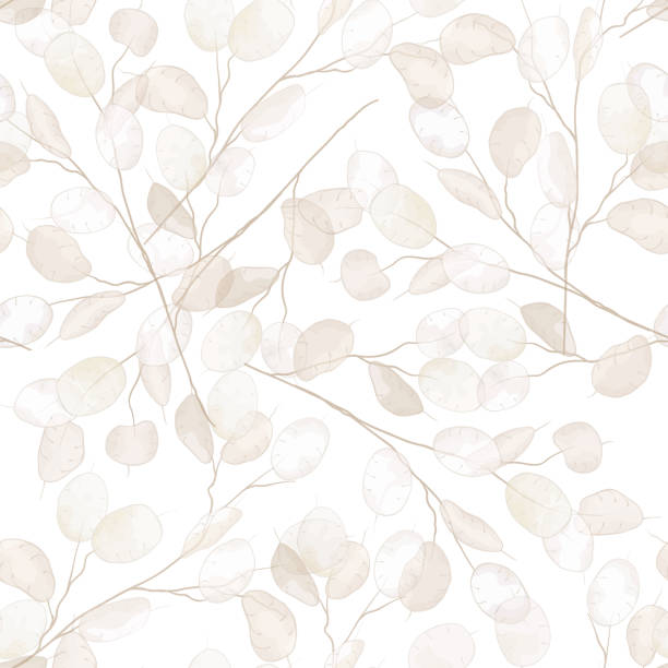 ilustrações de stock, clip art, desenhos animados e ícones de seamless dry lunaria floral vector pattern. watercolor winter wedding flower illustration background. boho design printable template, minimal botanical rustic textile decoration - repeating wallpaper ilustrações