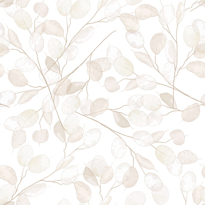 Seamless dry lunaria floral vector pattern. Watercolor winter wedding flower illustration background. Boho design printable template, minimal botanical rustic textile decoration