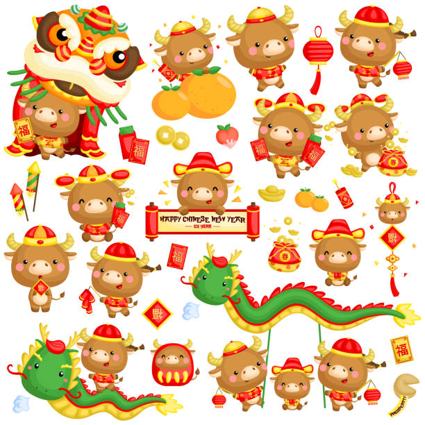 ein vektor-set von ochsen in chinesischen neujahrsfeier kostüm und gegenstände - hongbao stock-grafiken, -clipart, -cartoons und -symbole
