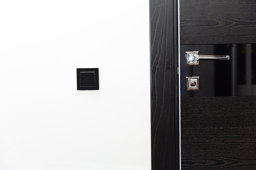 Dark interior door with handle in modern apartment and light switch on the white wall nearby wooden closed door between rooms (stylish-hallway-design)
