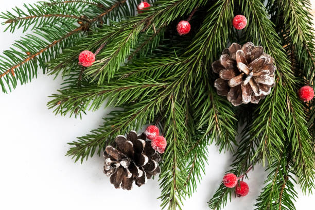 istock Christmas composition with spruce branches and cones, top view 1290095411