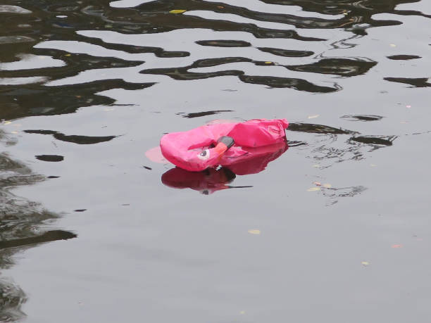 leaky pink flamingo floating in a canal
