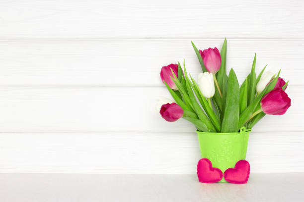 bouquet di fiori di tulipano su tavolo di legno vicino a parete in legno bianco. concetto di san valentino con spazio di copia. sfondo rustico primaverile - surrounding wall holidays and celebrations nature wall foto e immagini stock