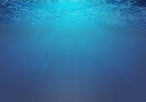 istock Underwater view of the sea 1290099056