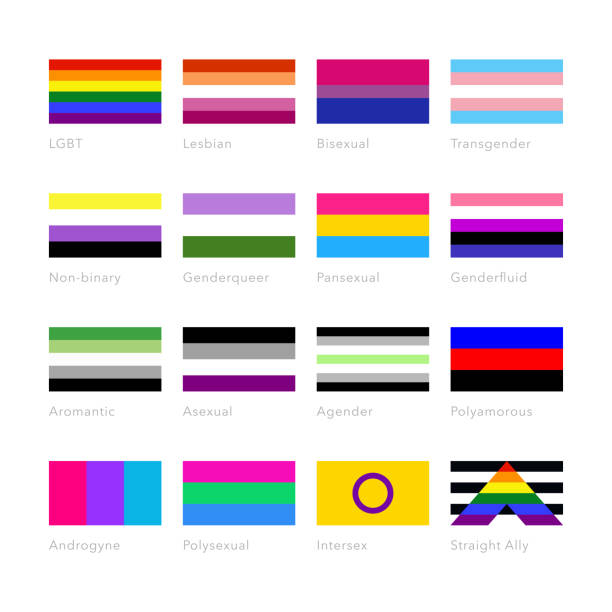 LGBTQ+ pride vector flags set, LGBT symbols. LGBTQ+ pride vector flags set, LGBT symbols. rainbow flag stock illustrations