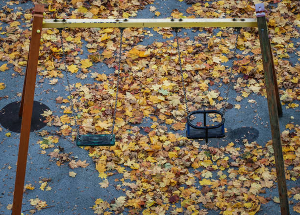 Fallen yellow leaves carpeted the park ground beneath the trees and children's rides.