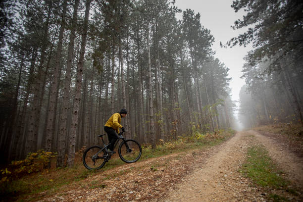 istock Young man biking through autumn forest 1290105245