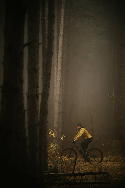 istock Young man biking through autumn forest 1290105306