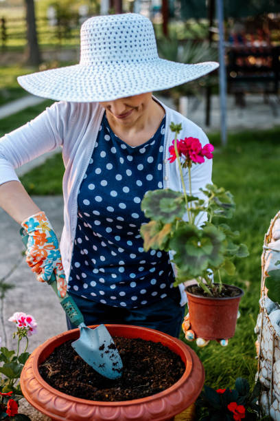 istock Woman planting flowers 1290106662