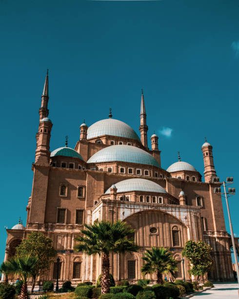istock Mosque of Muhammad Ali Pasha 1290109133