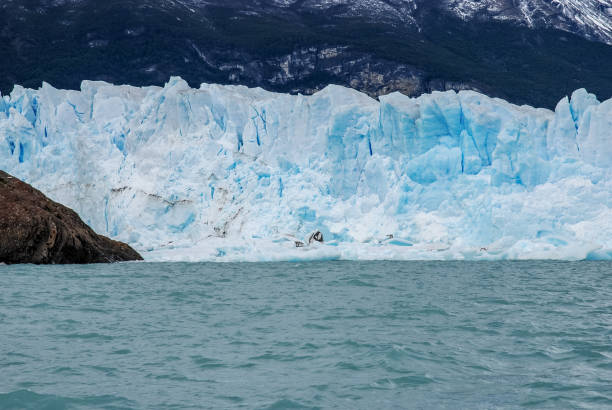 The north side of the terminal part of the Perito Moreno glacier seen from the boat The Perito Moreno glacier is the most famous of the Argentine Patagonian ice fields. It is an important point of reference in the control of climate change. climate crisis photos stock pictures, royalty-free photos & images