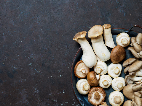 Set of mushrooms in the plate on dark background. Top view and space for text.