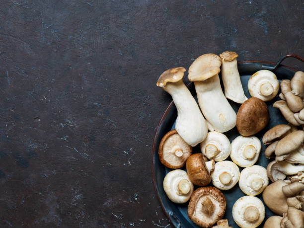 Set of mushrooms in the plate on dark background. Set of mushrooms in the plate on dark background. Top view and space for text. basidiomycota stock pictures, royalty-free photos & images