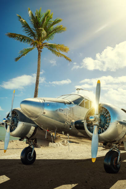 airplane historical aircraft against a palm tree military airplane photos stock pictures, royalty-free photos & images