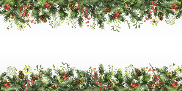 Christmas, New Year border with branches of Christmas tree, holly berries, cones and space for text. Christmas background. Christmas, New Year border with branches of Christmas tree, holly berries, cones and space for text. Christmas background. Vector illustration. evergreen garland stock illustrations