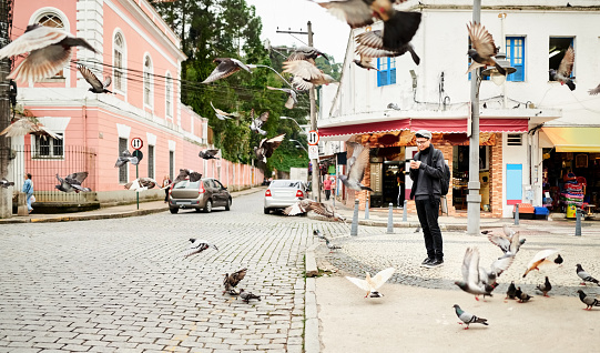 Shot of a young traveler standing by the road using his mobile phone with pigeons flying around