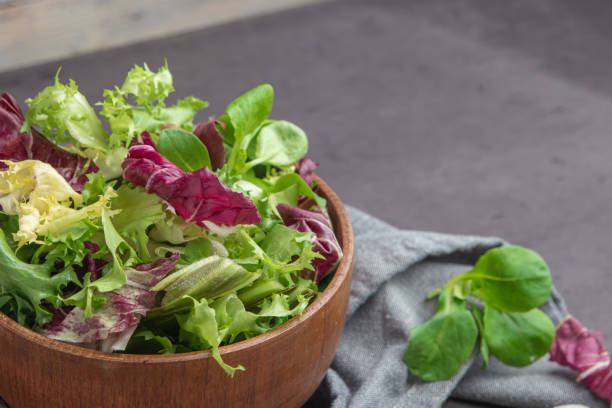 salad mix leaves background. fresh salad pattern with rucola, purple lettuce, spinach, frisee and chard leaf - lettuce endive abstract leaf imagens e fotografias de stock