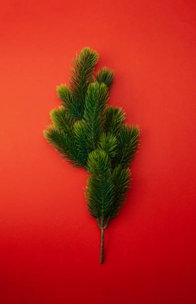 istock Christmas theme, fir branches vertical photo on red background 1290129913