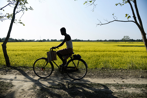 Barpeta, India. 08 December 2020. A farmer returns after working in his mustard field, during country-wide strike by farmers, in Barpeta, Assam, India on 08 December 2020. The 2020 Indian farmers' protest is an ongoing protest against the three farm acts passed by the Indian Parliament in 2020.
