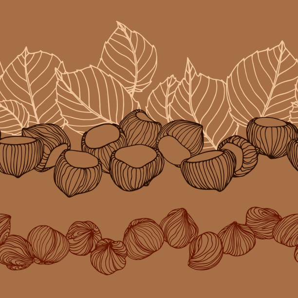 11,600+ Nutshell Stock Illustrations, Royalty-Free Vector Graphics ...