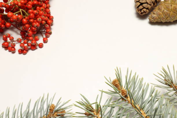 istock New Year concept was created with pine tree branches, cones and similar materials. various colors together herald the new year. 1290133808