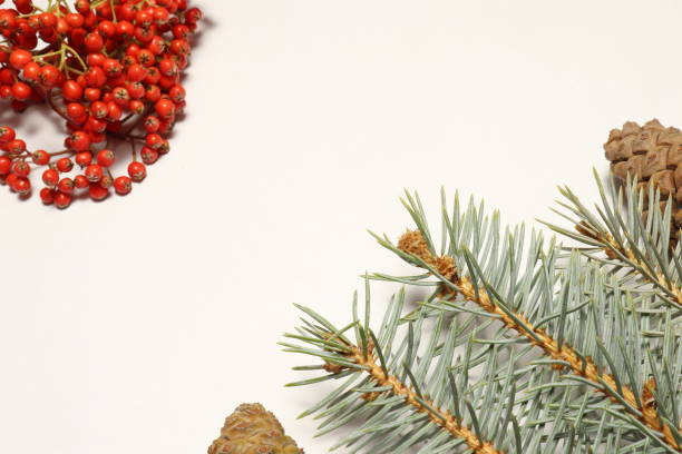 istock New Year concept was created with pine tree branches, cones and similar materials. various colors together herald the new year. 1290134743