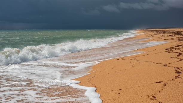 istock Endless yellow sandy beach with white foam waves under a dark stormy sky, panoramic 1290135796