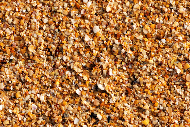 istock Seamless macro texture of yellow sea sand from rolled seashells 1290135910