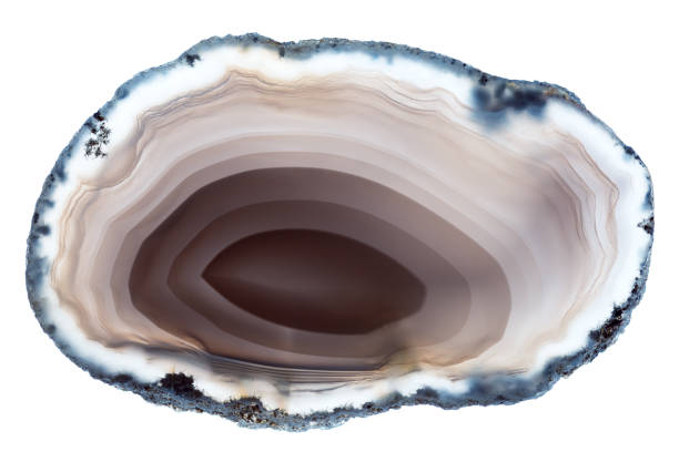 istock A back-lit slice of light brown concentrically layered agate, isolated on a white background 1290136210