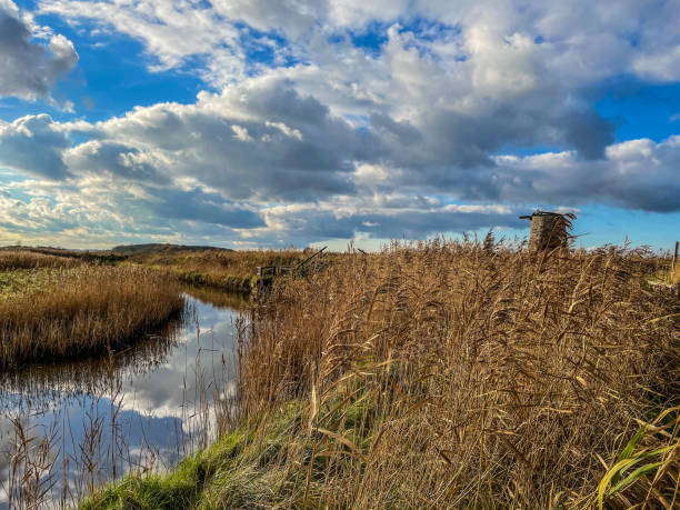 istock Coastal walk at Walberswick be by the river and old water mill 1290138067