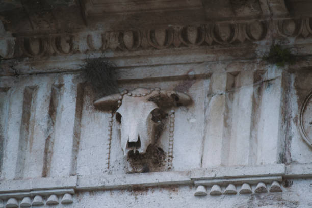 istock Skull head, detail from medieval Zadar city gate 1290140513