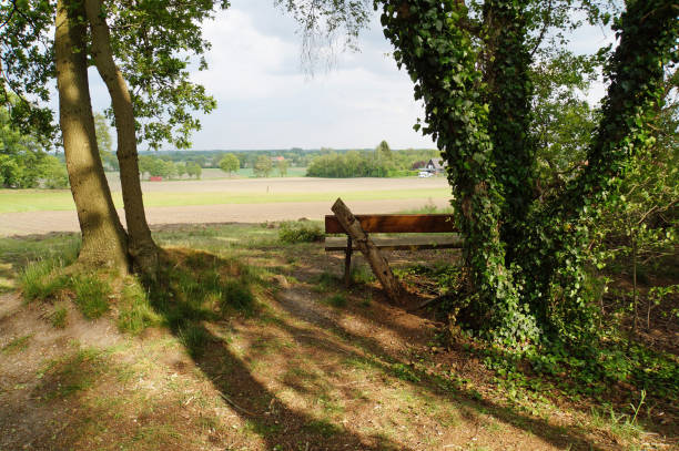 istock View from a bench on the farmland. 1290141869