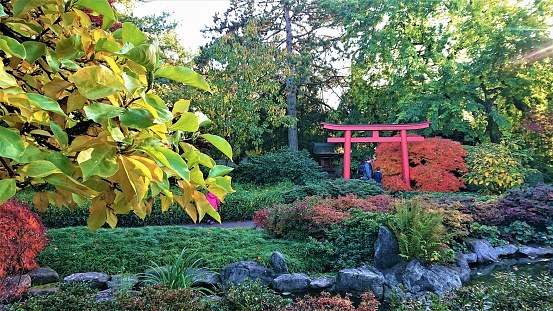 Karlsruhe, Germany- October 25, 2020: the Japanese Garden in Karlsruhe is inside of the Zoological City Garden (Zoologischer Stadtgarden). It is very beautiful during all seasons, especially in the fall.