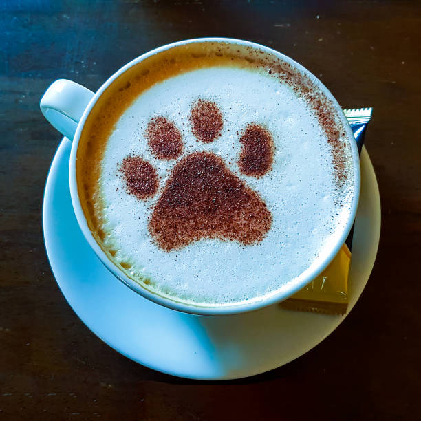 istock Paw Print in a CappuccinoDrink 1290143931